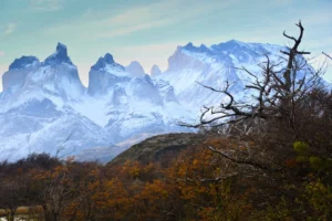torres del paine cuernos